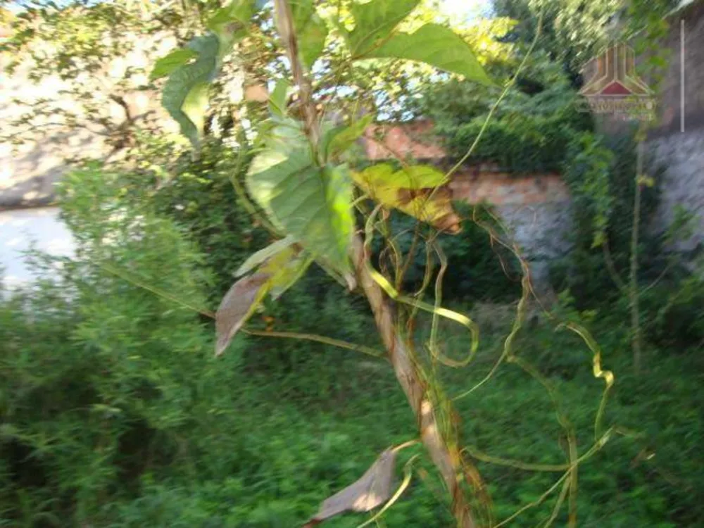 Terreno, 330 m² - Foto 3