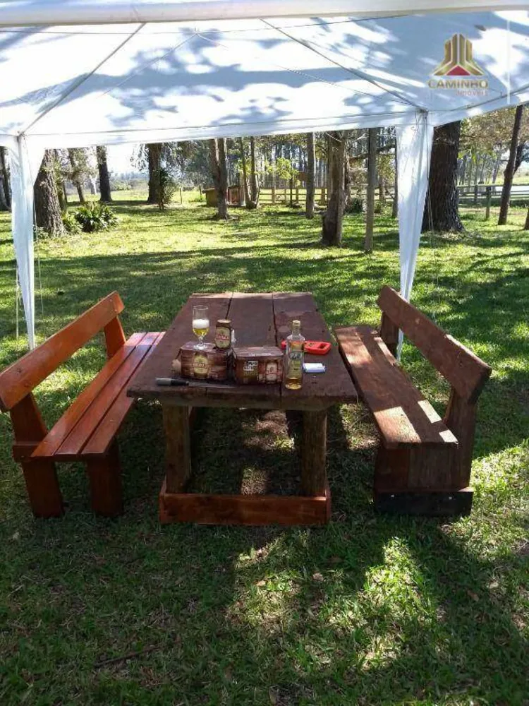 Fazenda, 60 hectares - Foto 3
