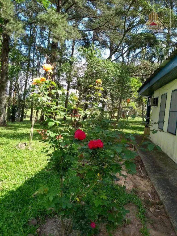 Fazenda, 60 hectares - Foto 6