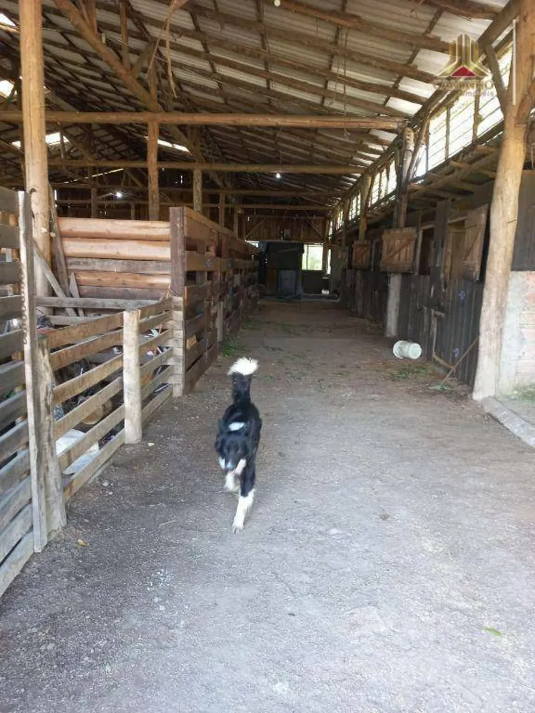 Fazenda, 60 hectares - Foto 8