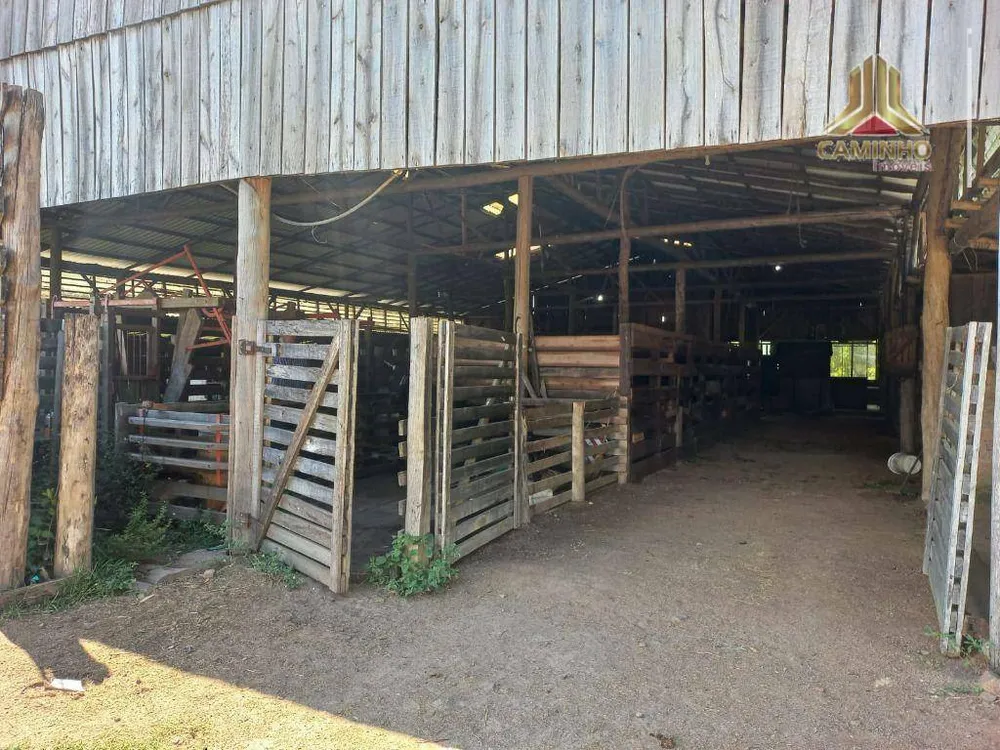 Fazenda, 60 hectares - Foto 2