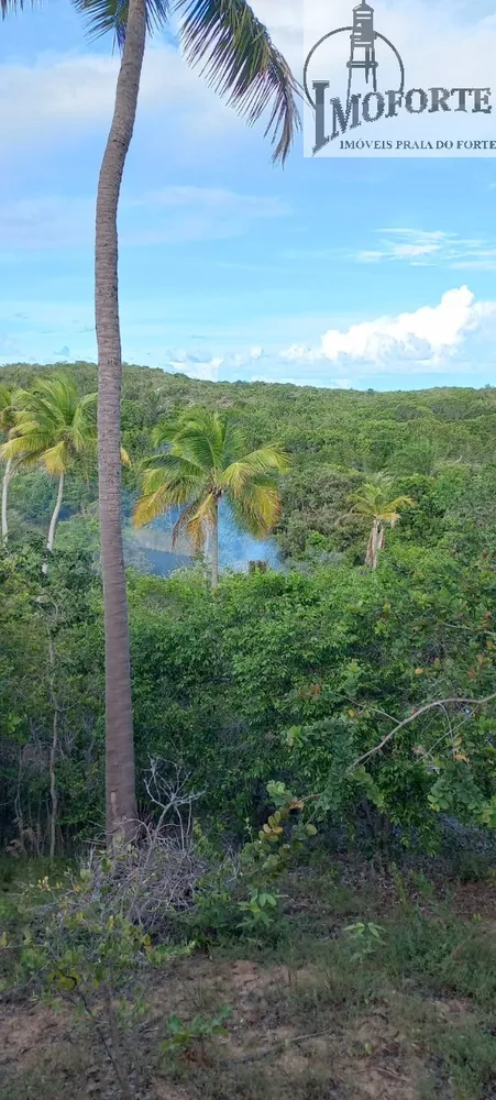 Terreno, 6000 m² - Foto 1
