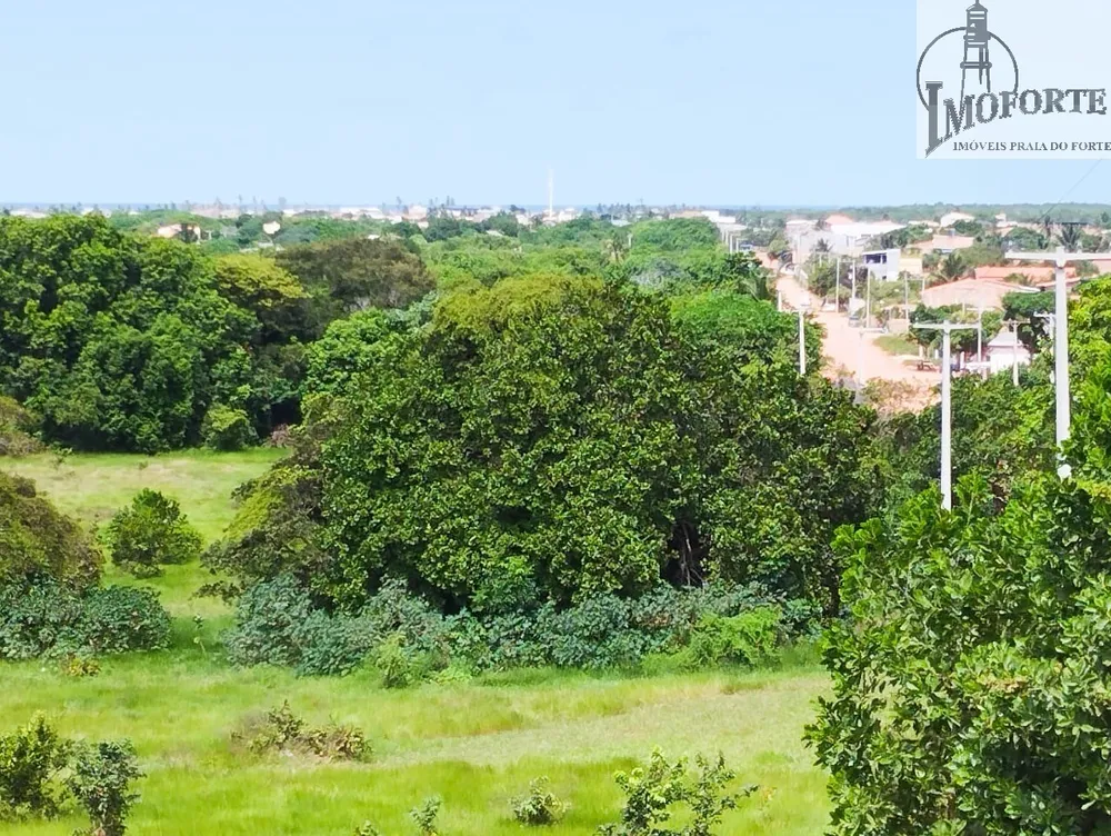 Terreno, 13 hectares - Foto 14