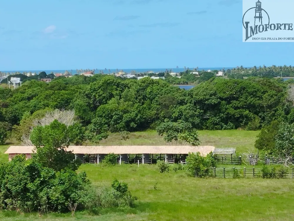 Terreno, 13 hectares - Foto 4