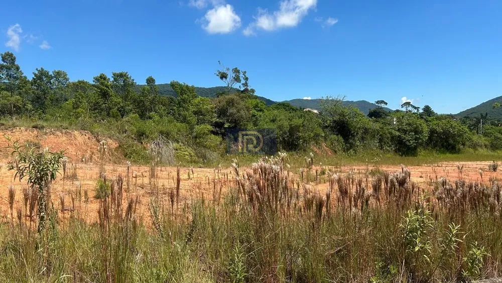 Terreno, 1525 m² - Foto 6