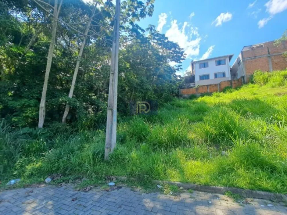Terreno, 250 m² - Foto 5