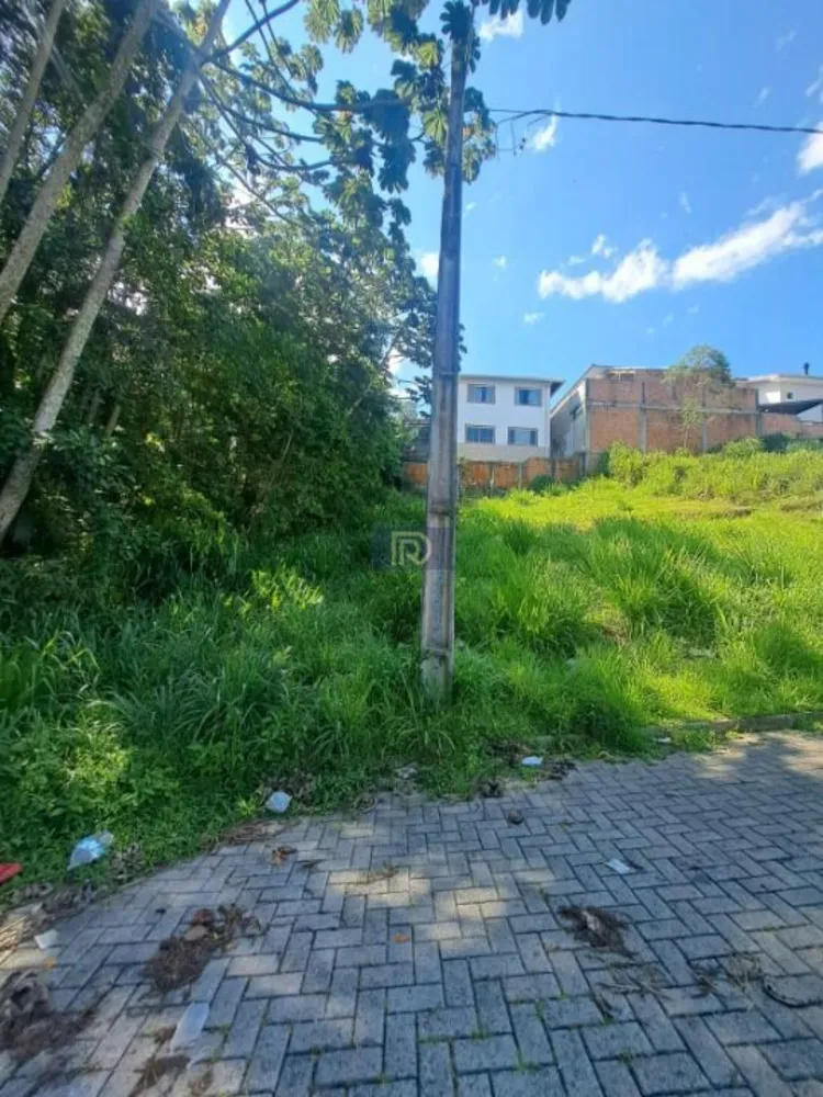 Terreno, 250 m² - Foto 6