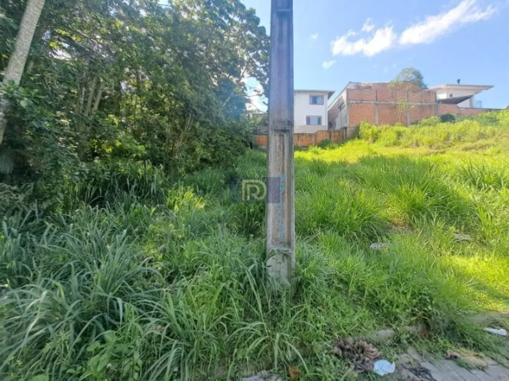 Terreno, 250 m² - Foto 4