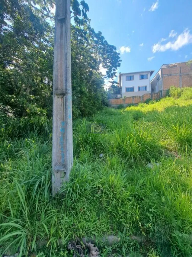 Terreno, 250 m² - Foto 11