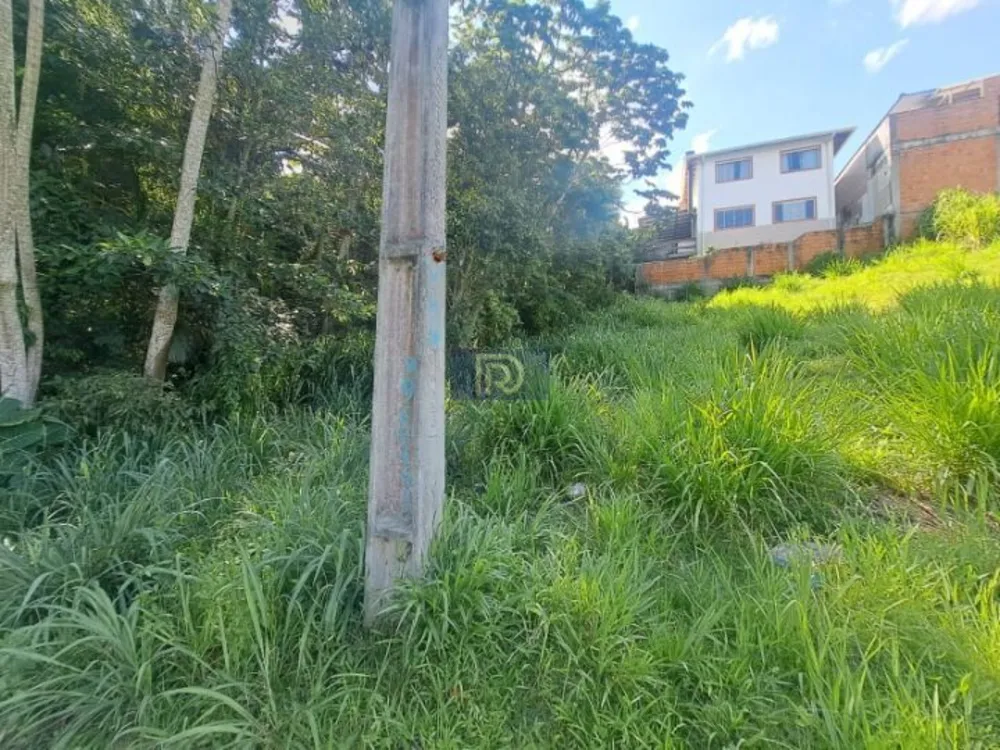 Terreno, 250 m² - Foto 13