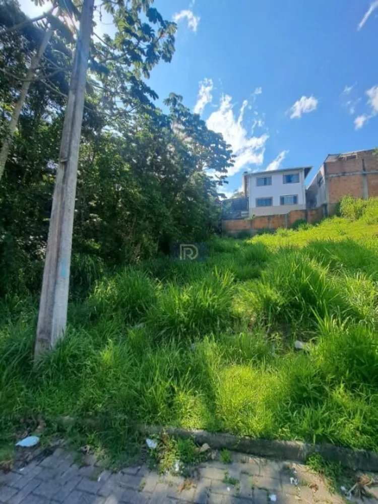 Terreno, 250 m² - Foto 10