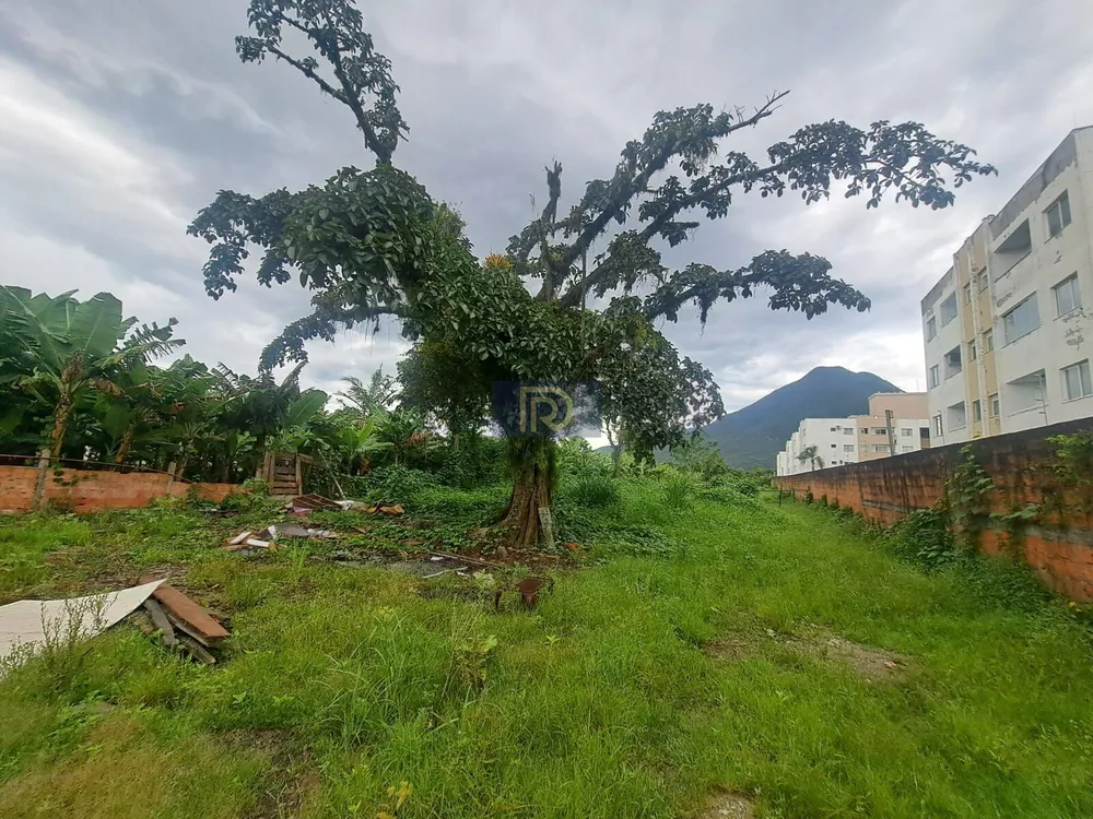 Terreno, 5539 m² - Foto 5