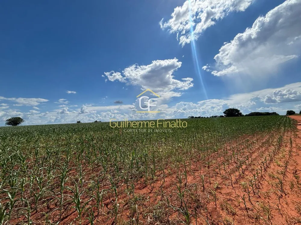 Loteamento e Condomínio, 67 hectares - Foto 3