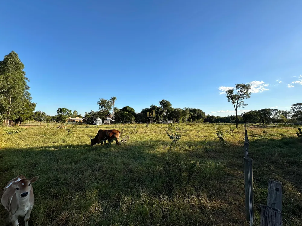 Terreno, 10000 m² - Foto 1
