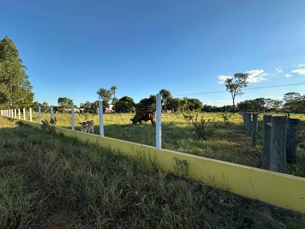 Terreno, 10000 m² - Foto 3