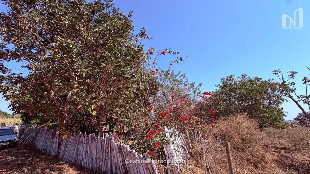 Terreno, 8 hectares - Foto 4