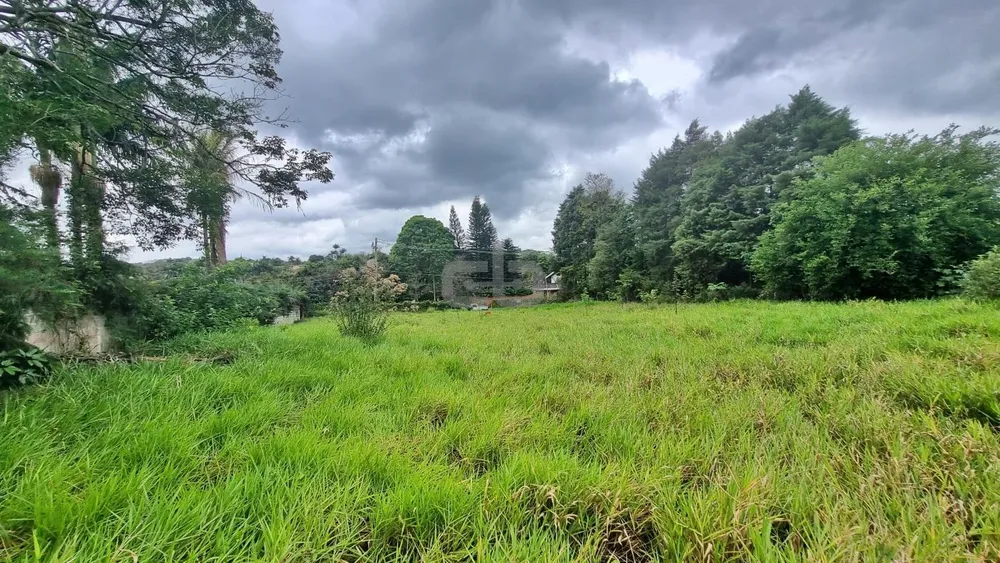 Terreno, 2530 m² - Foto 4