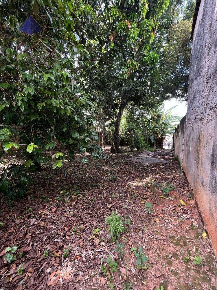 Terreno, 232 m² - Foto 5