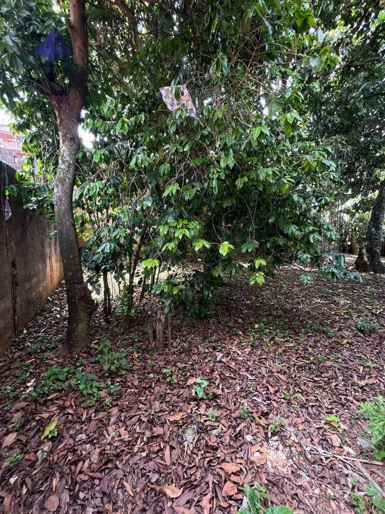 Terreno, 232 m² - Foto 1