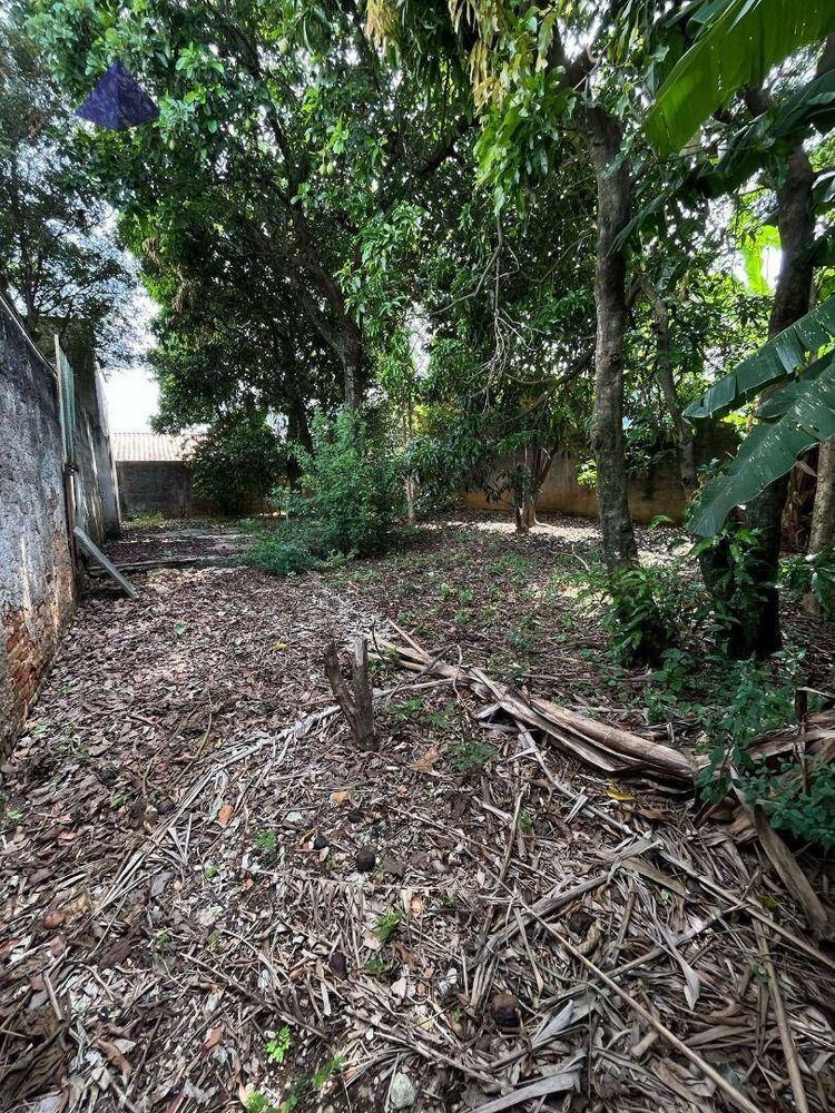 Terreno, 232 m² - Foto 6