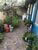 Casa, 3 quartos, 250 m² - Foto 3
