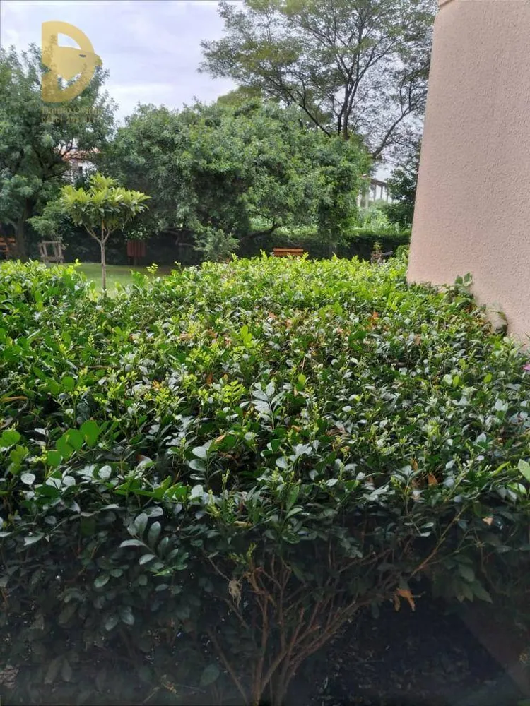 Apartamento, 3 quartos, 75 m² - Foto 20