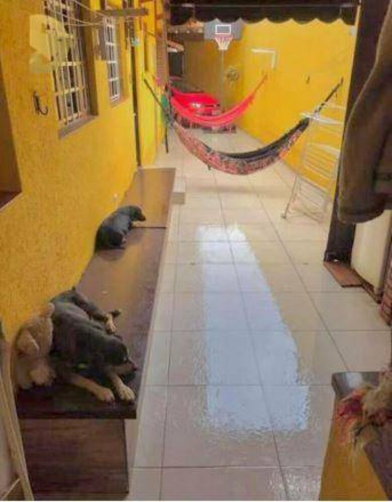Casa, 3 quartos, 132 m² - Foto 3