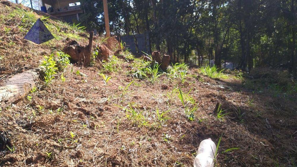 Terreno, 150 m² - Foto 3