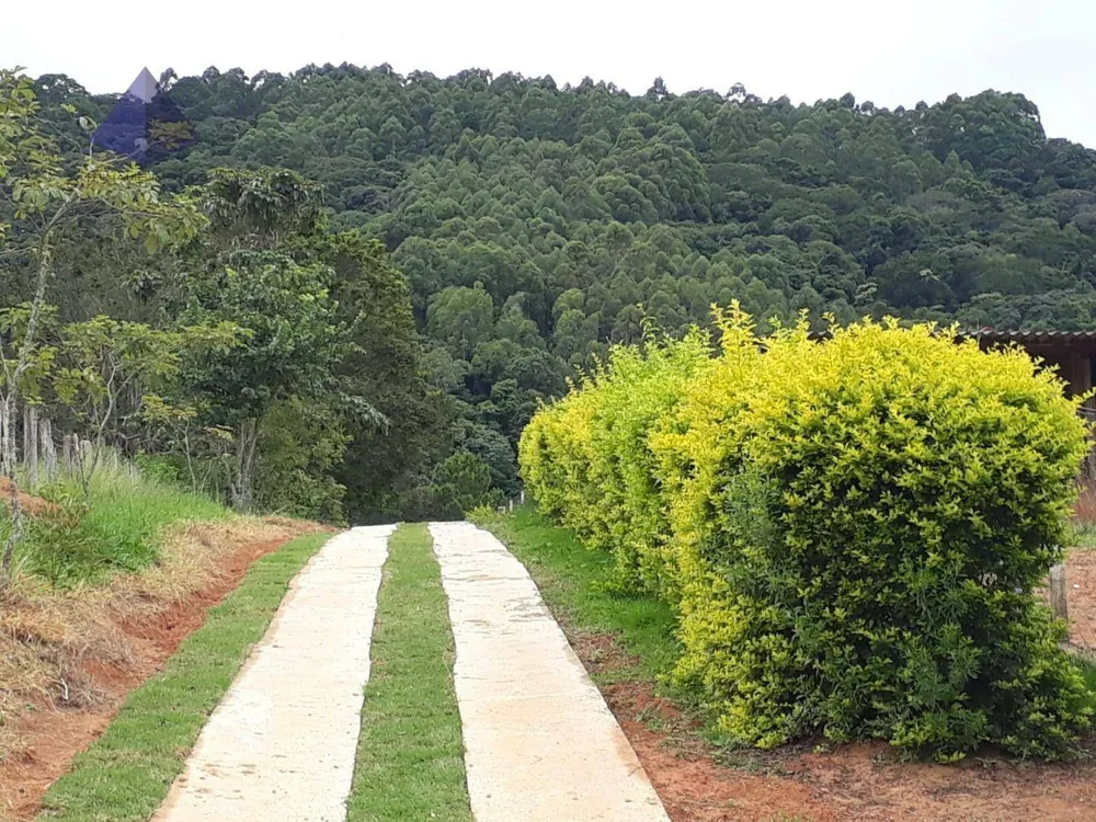 Sítio, 3 quartos, 8 hectares - Foto 11
