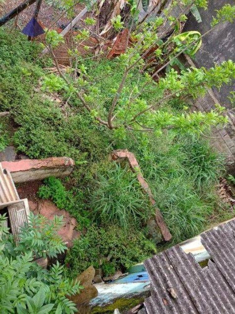 Terreno à venda, 284M2 - Foto 2