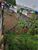 Terreno, 284 m² - Foto 1