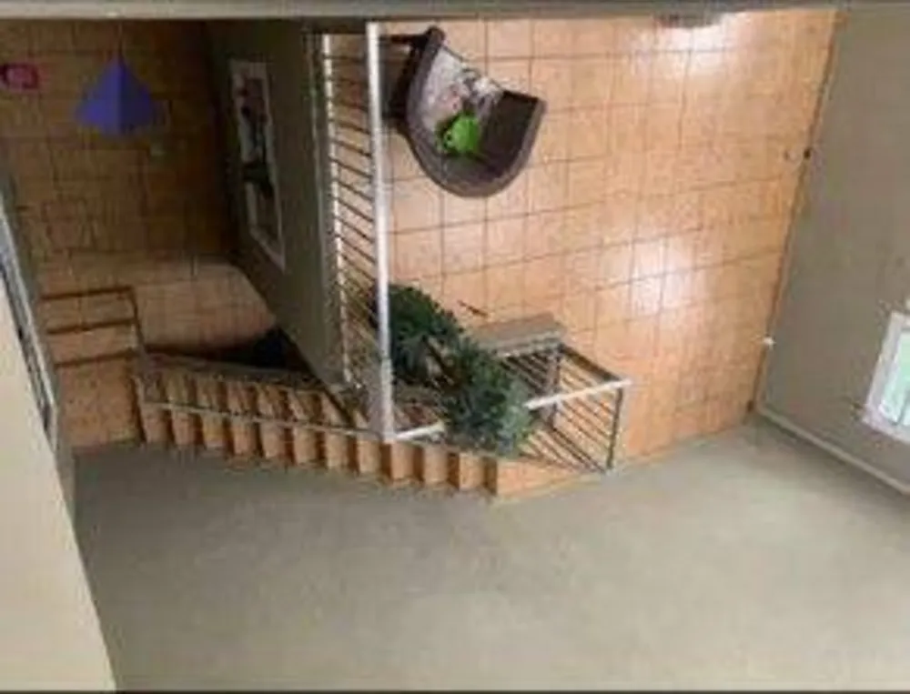 Sobrado, 3 quartos, 352 m² - Foto 12