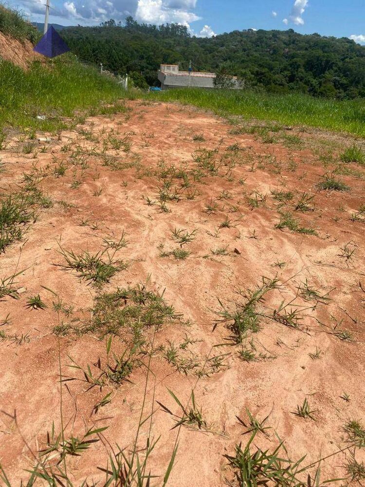 Terreno à venda, 500M2 - Foto 2
