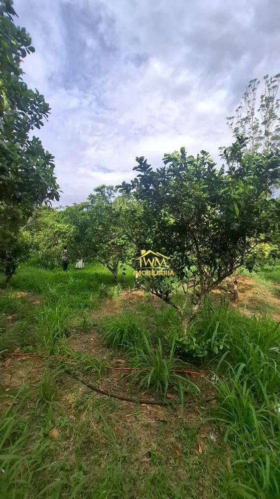 Terreno - Foto 6