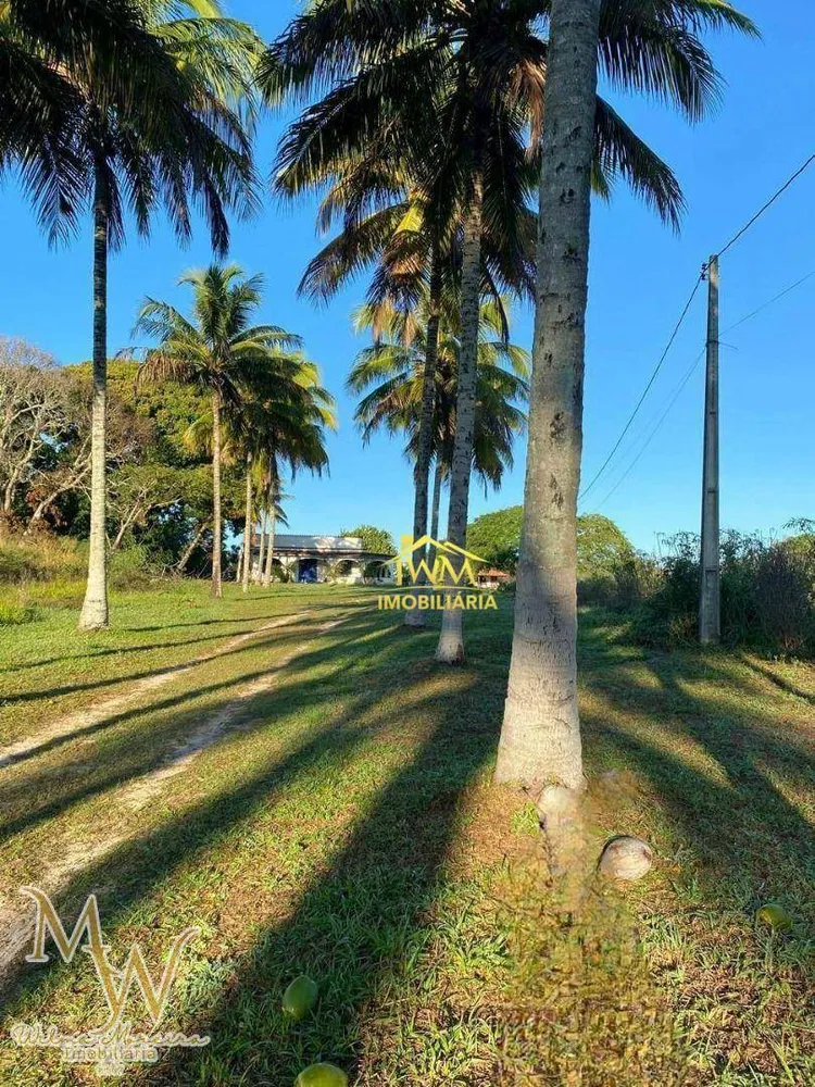 Sítio, 4 quartos, 5 hectares - Foto 4