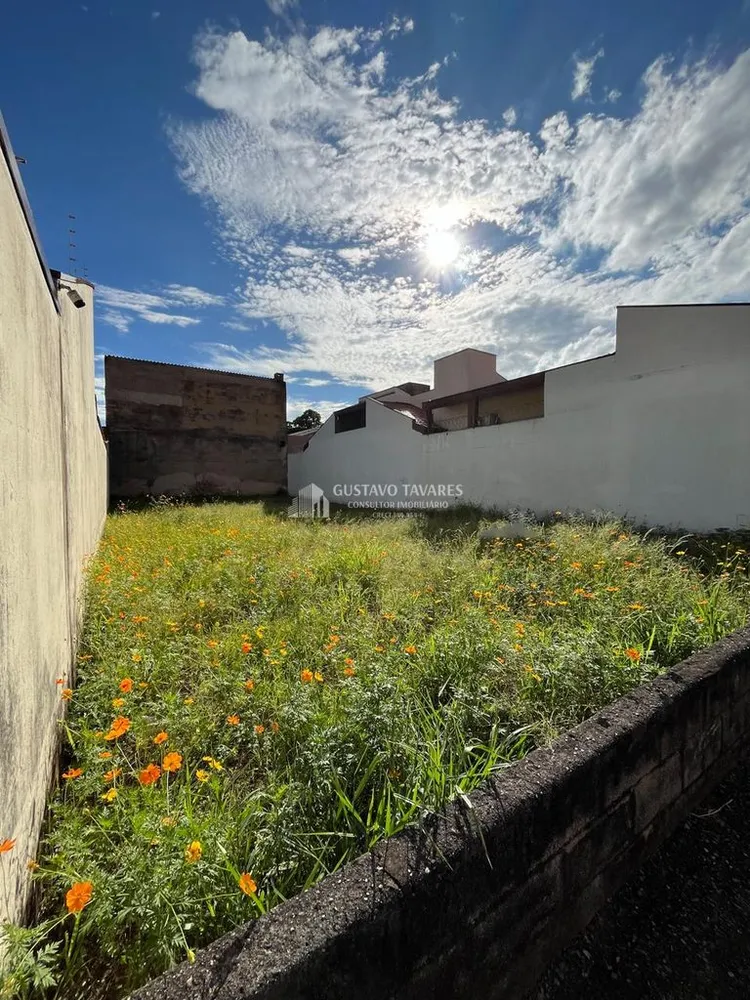 Terreno, 250 m² - Foto 3