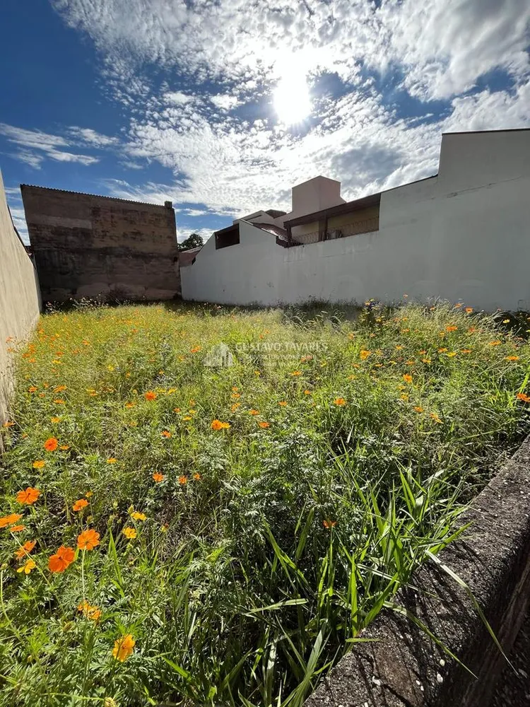 Terreno, 250 m² - Foto 7