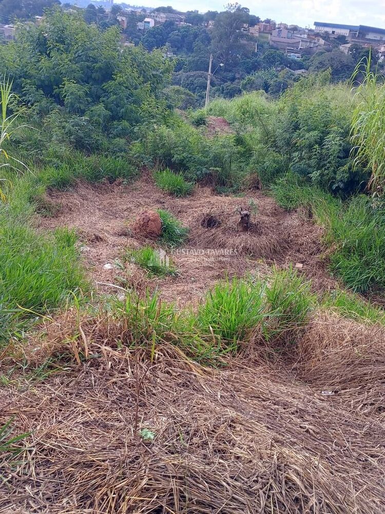 Terreno à venda, 175m² - Foto 5
