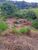 Terreno, 175 m² - Foto 5