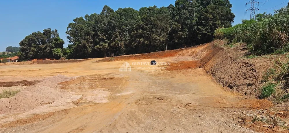Terreno, 5 hectares - Foto 4
