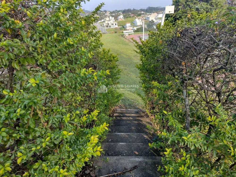 Terreno, 1 hectares - Foto 6