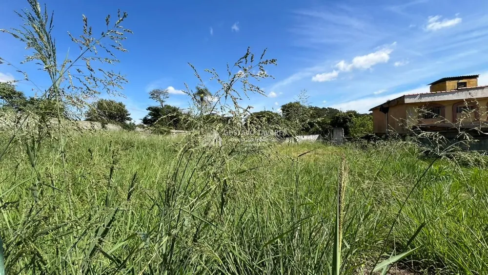 Terreno, 1902 m² - Foto 6