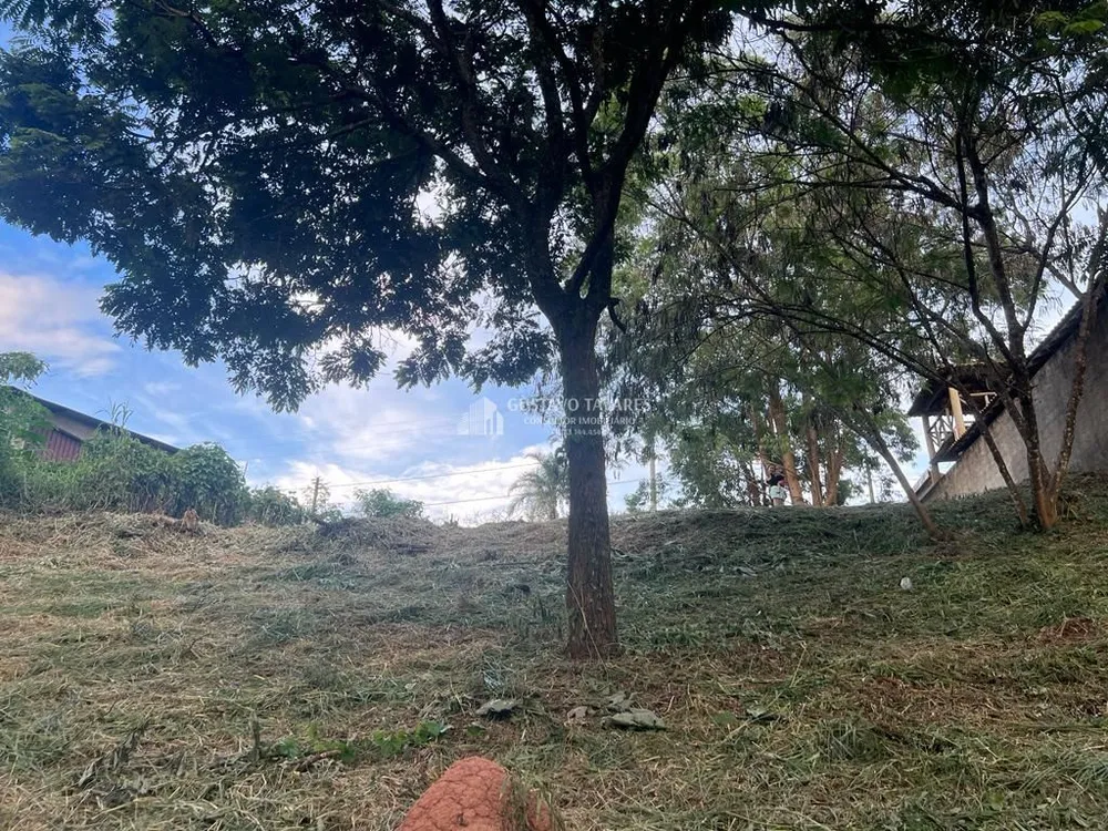 Terreno, 2081 m² - Foto 6