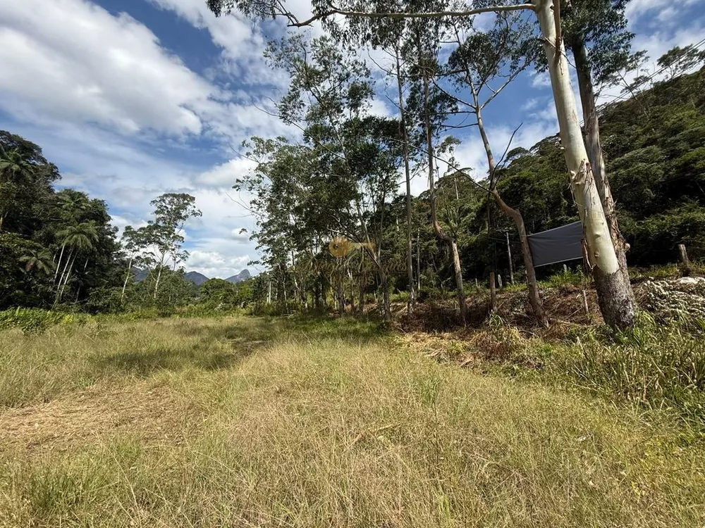 Terreno, 2 hectares - Foto 12
