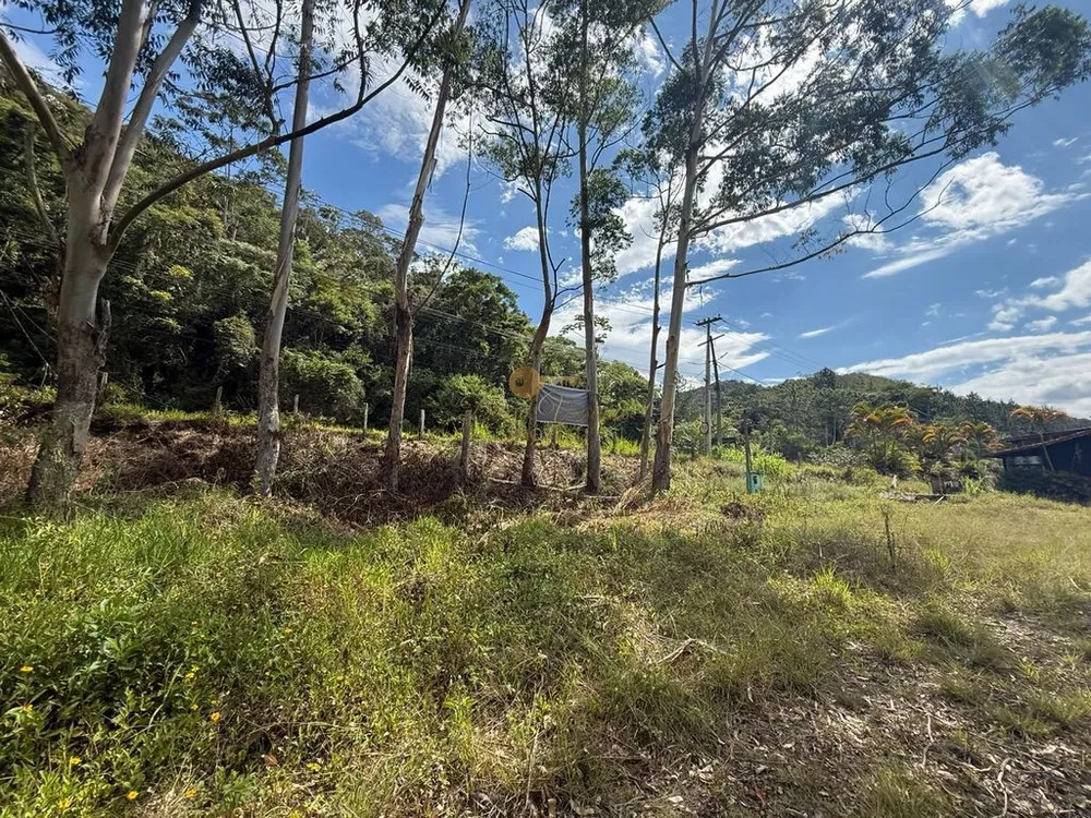Terreno, 2 hectares - Foto 10