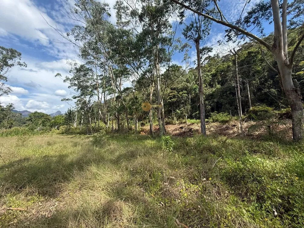 Terreno, 2 hectares - Foto 8