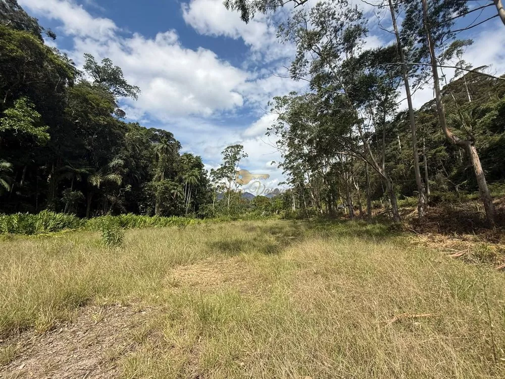 Terreno, 2 hectares - Foto 7