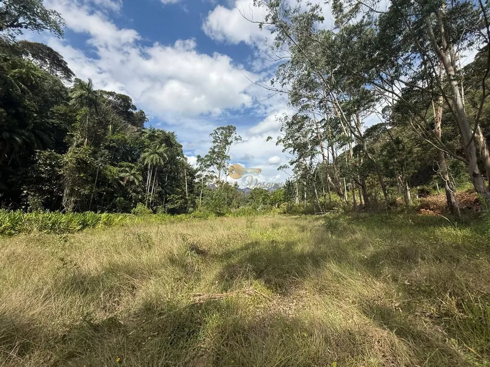 Terreno, 2 hectares - Foto 4