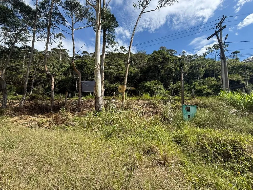 Terreno, 2 hectares - Foto 1