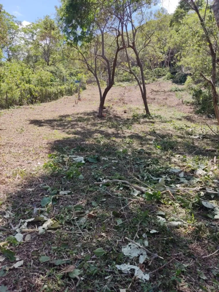Terreno, 1050 m² - Foto 3